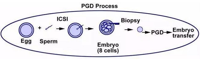 PGD示意