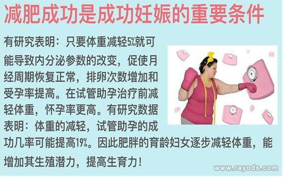 女人胖瘦与生育的关系