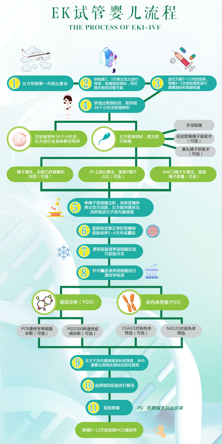 泰国EK国际医院试管婴儿流程