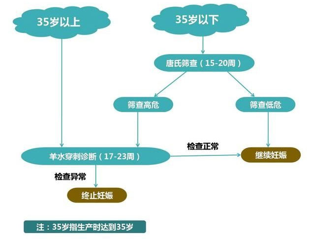 唐氏筛查结果