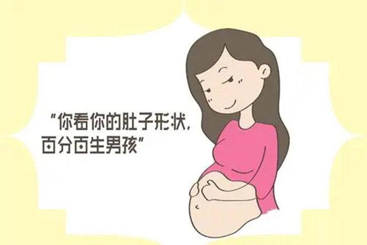 肚子形状