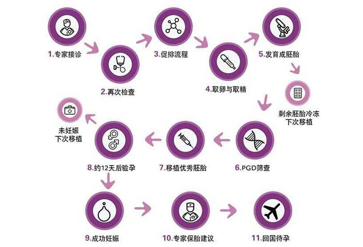 试管婴儿步骤过程图